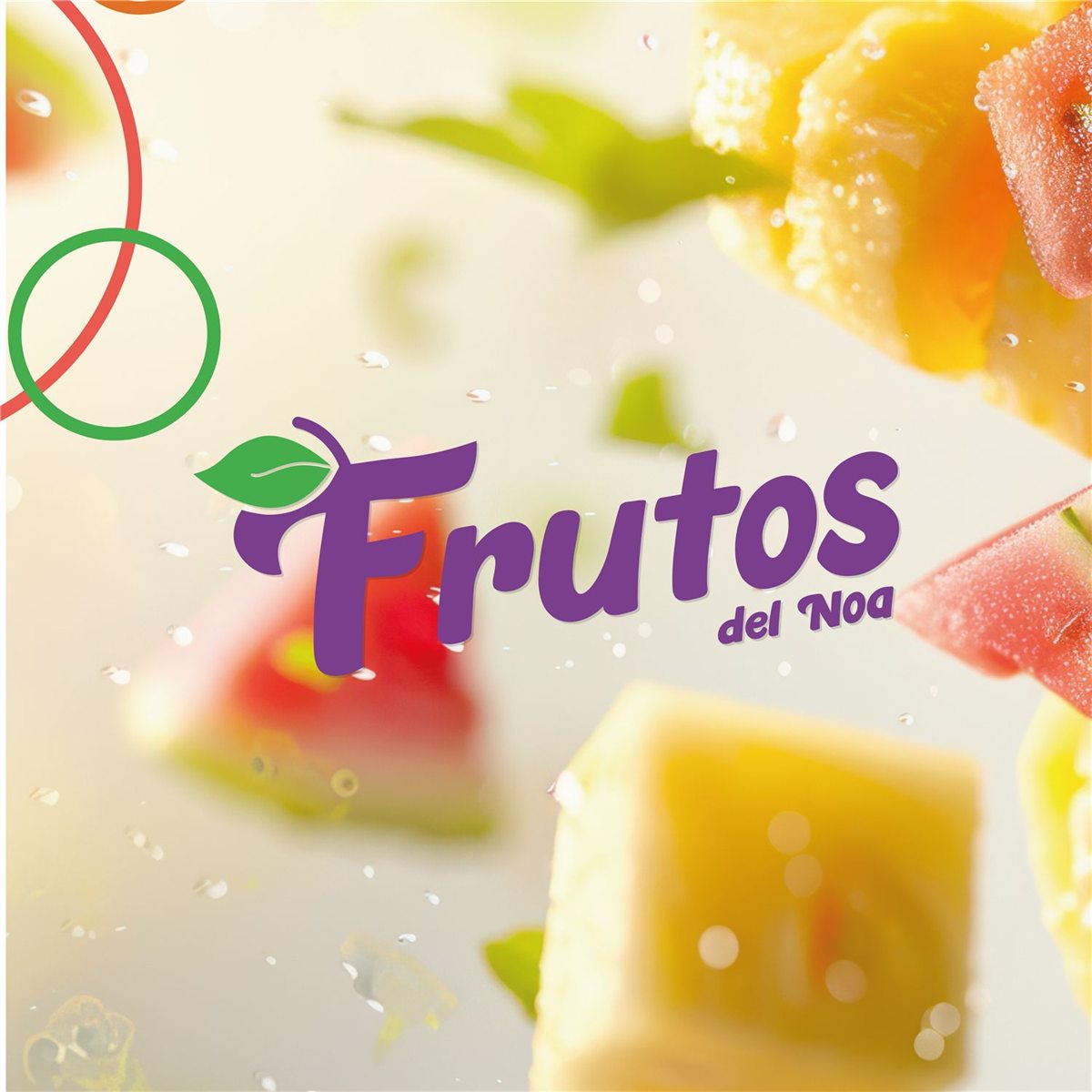 Frutos del NOA — Estudio Houston