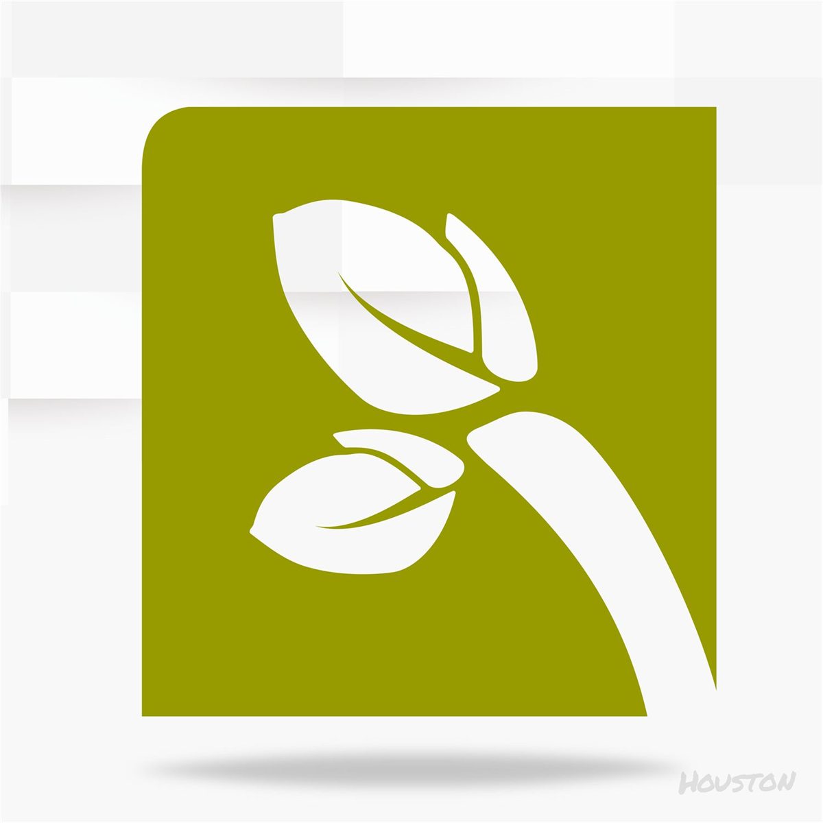 Fundación Yapeyú — Estudio Houston